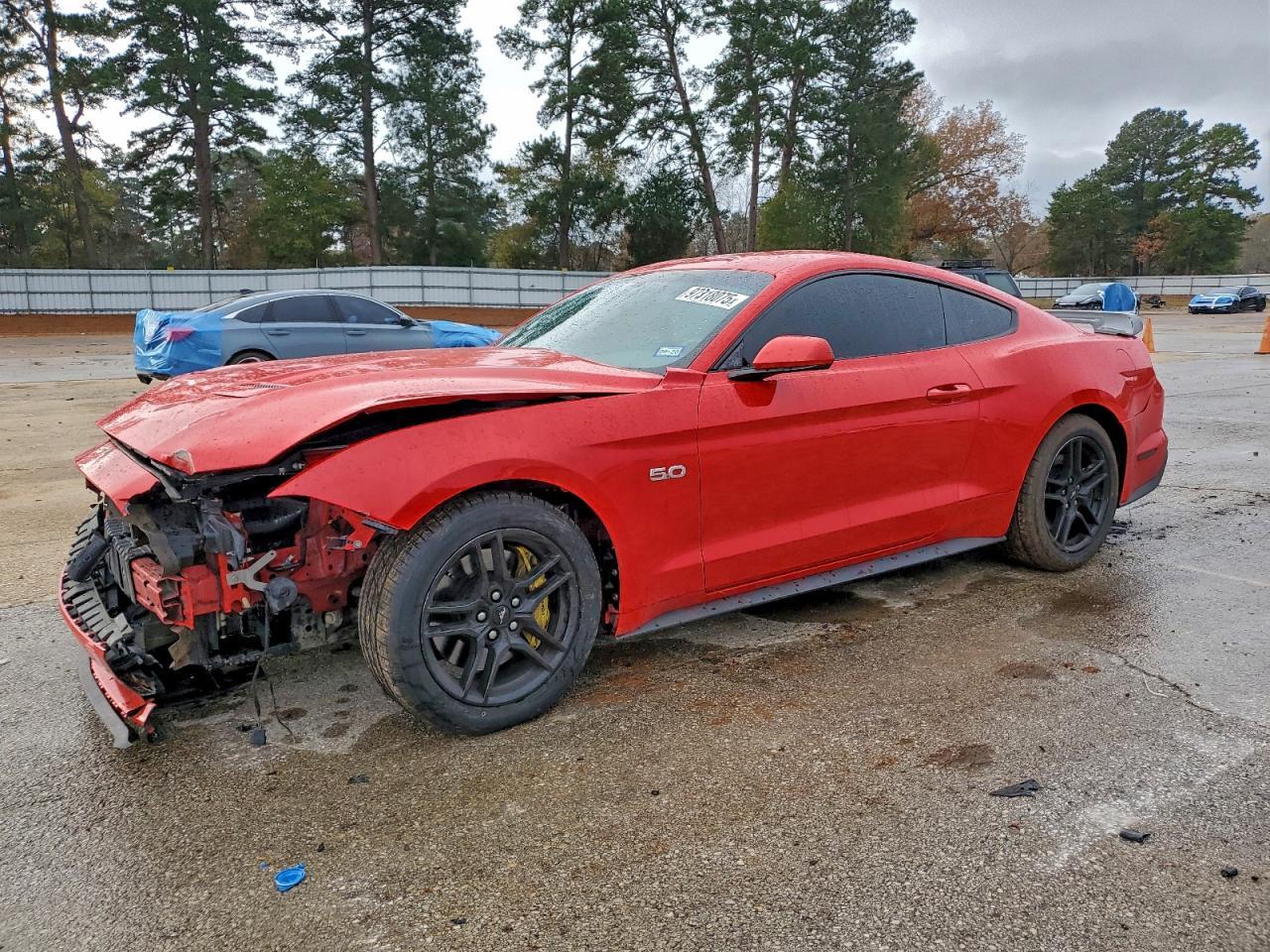 2019 FORD MUSTANG