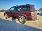 2007 HONDA PILOT