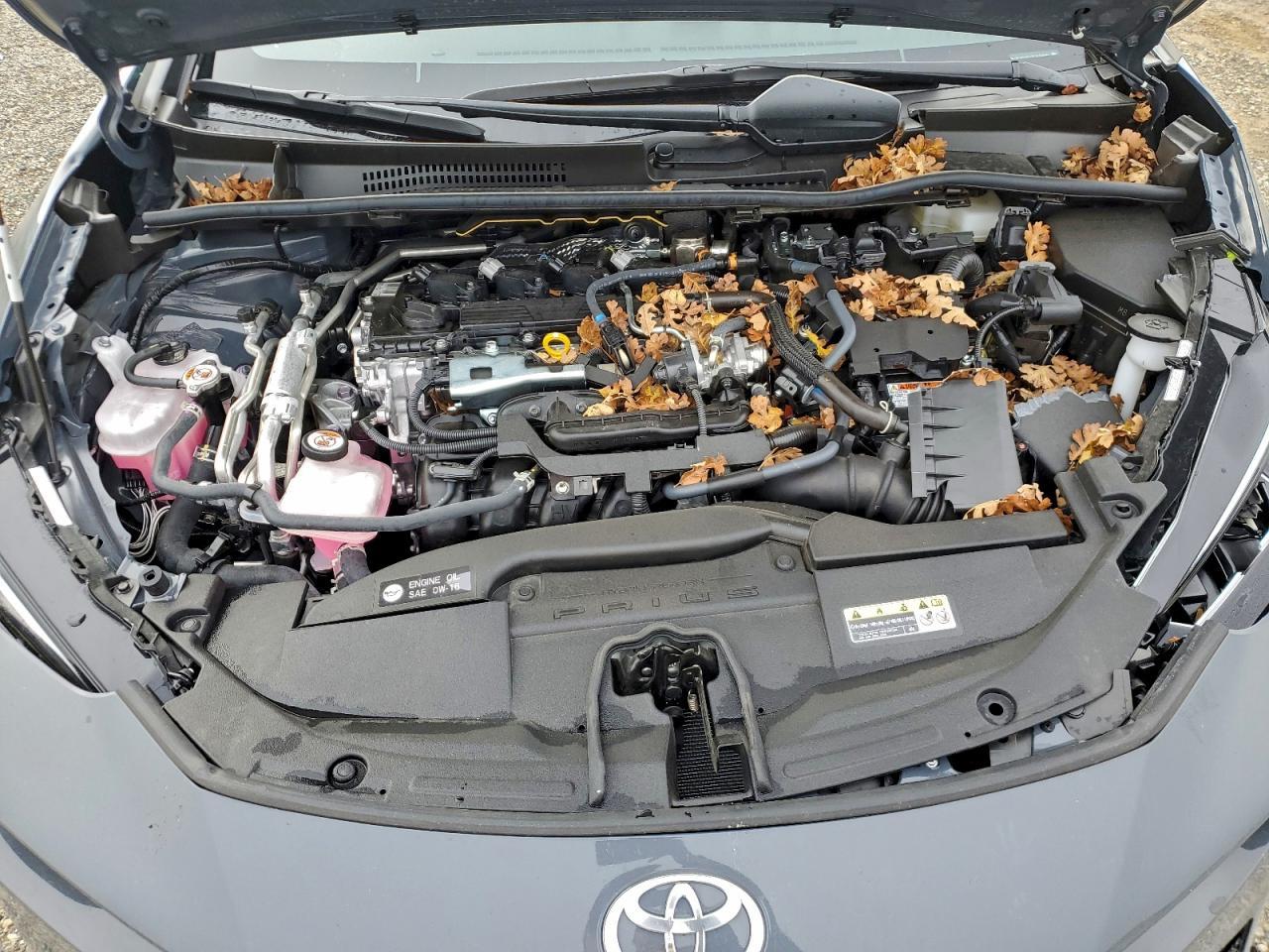 2025 TOYOTA PRIUS