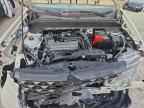 2025 FORD Maverick