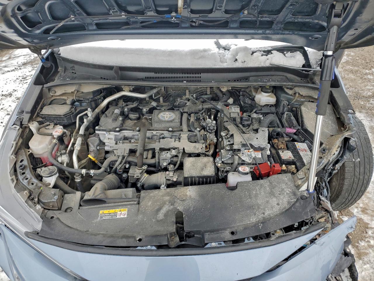 2024 TOYOTA COROLLA