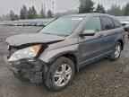 2010 HONDA CR-V