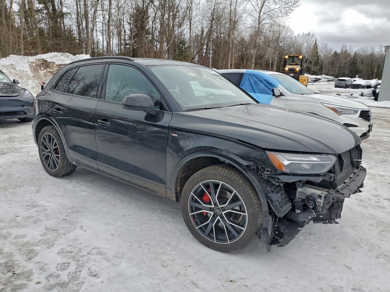 2025 AUDI Q5