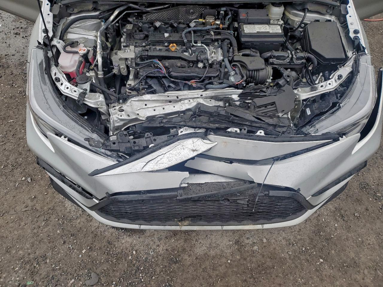 2025 TOYOTA COROLLA