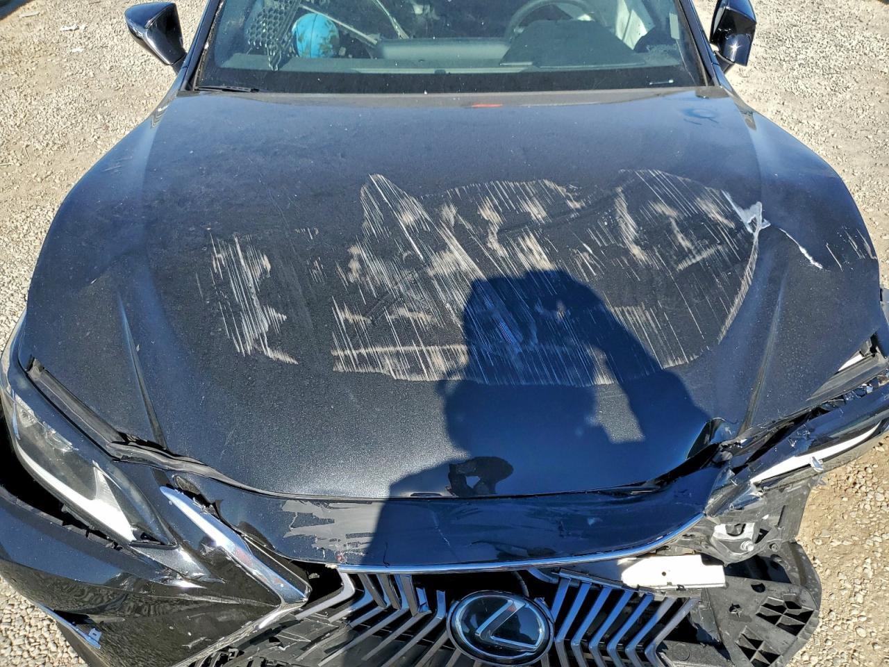 2019 LEXUS ES 350