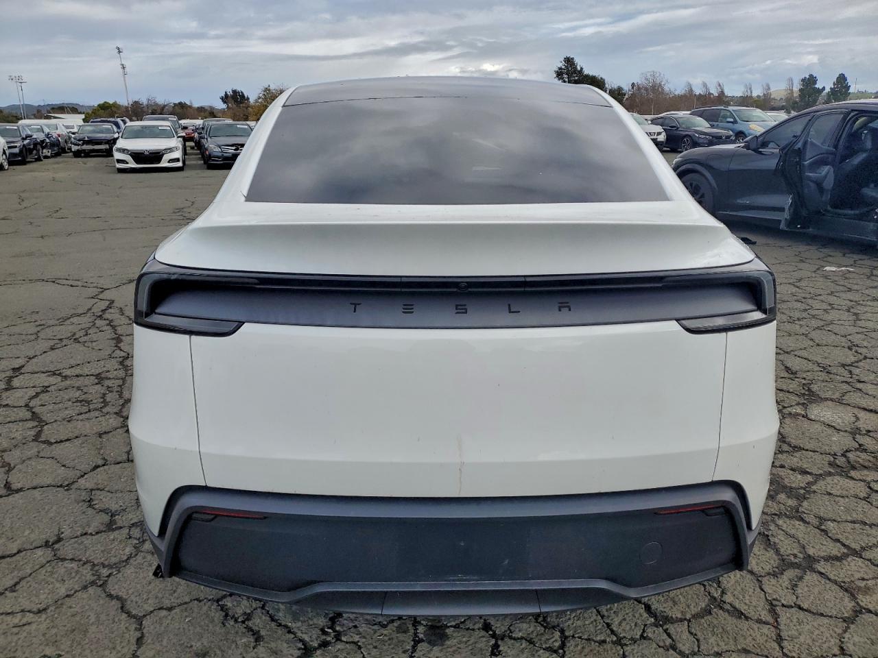 2026 TESLA MODEL Y