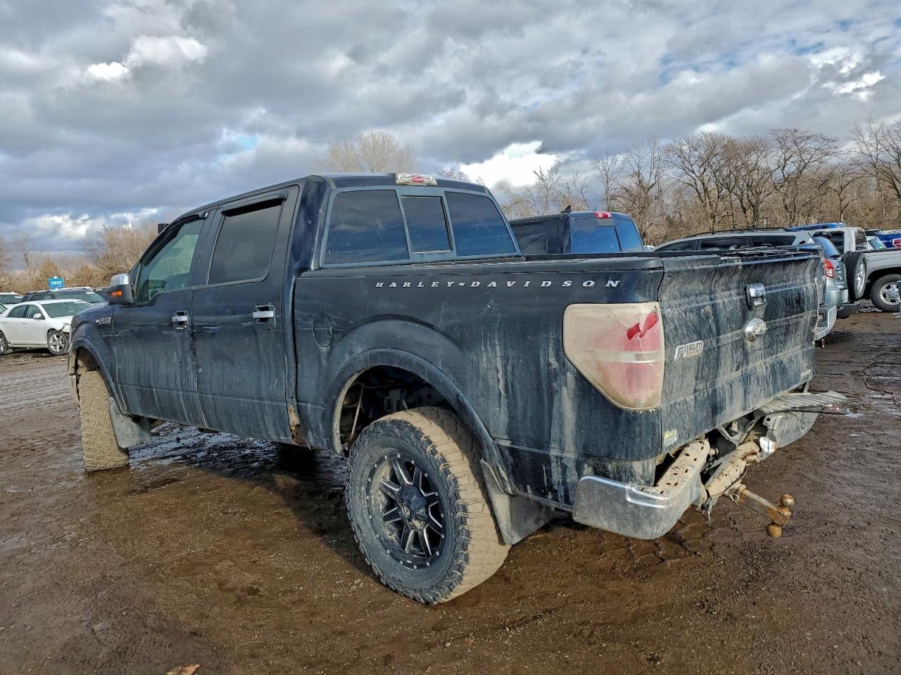 2011 FORD F-150