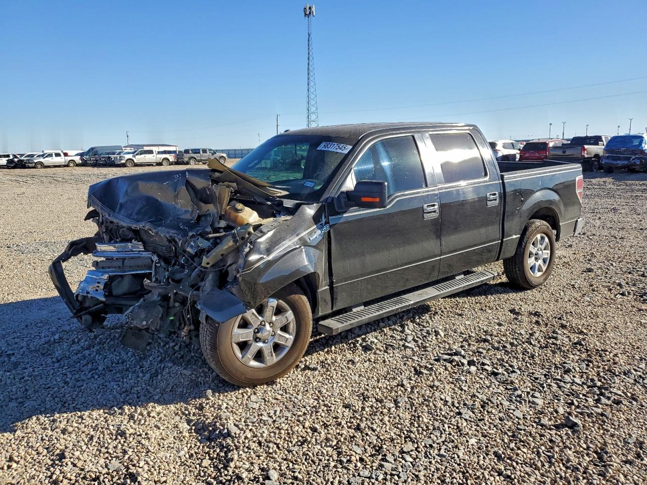 2013 FORD F-150