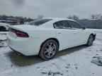 2017 DODGE CHARGER