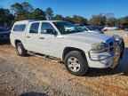 2006 DODGE Dakota