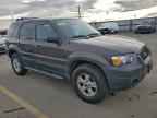 2007 FORD ESCAPE