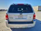 2009 FORD ESCAPE