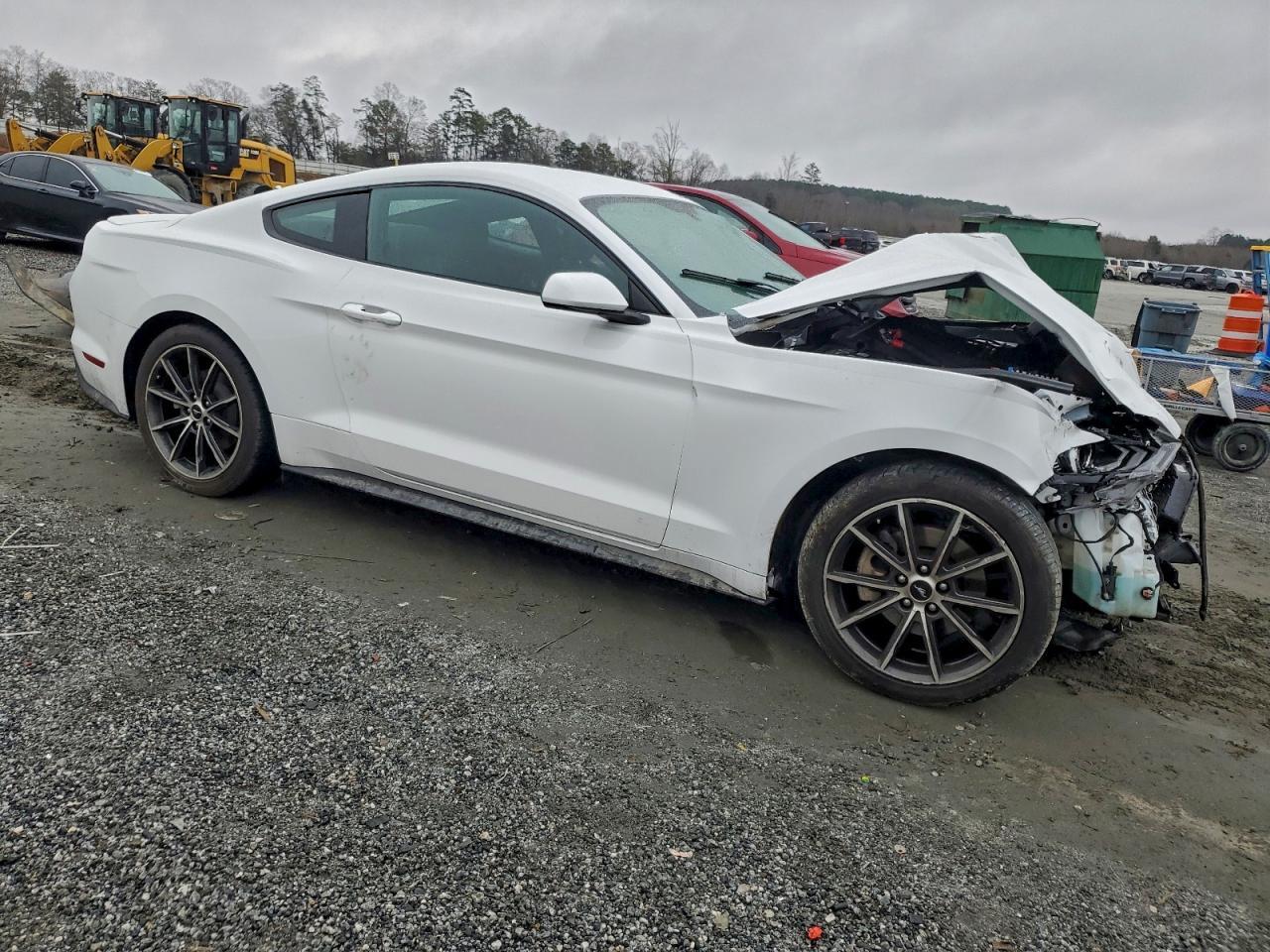 2019 FORD MUSTANG