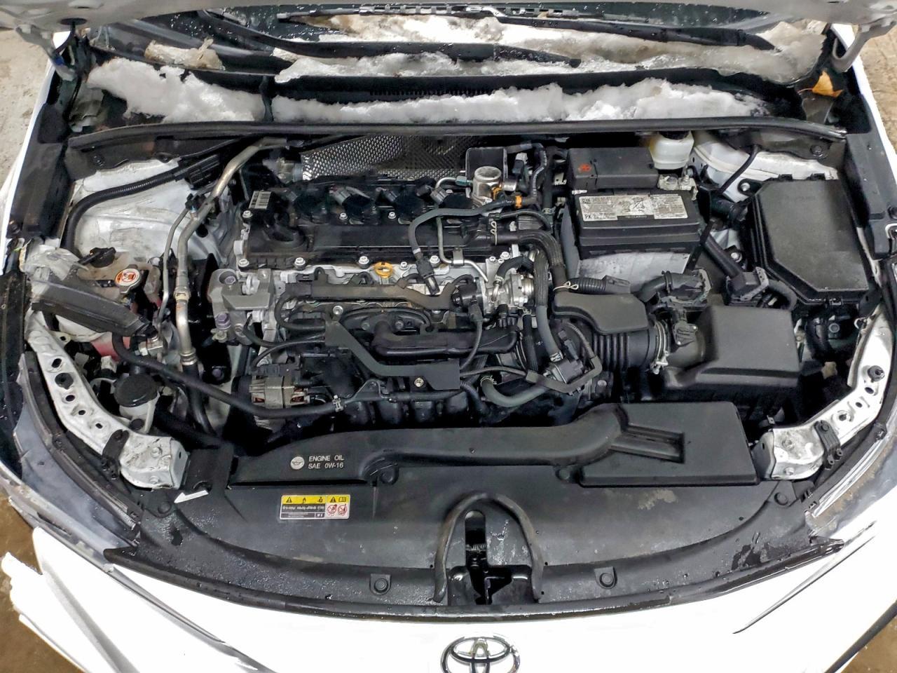 2023 TOYOTA COROLLA