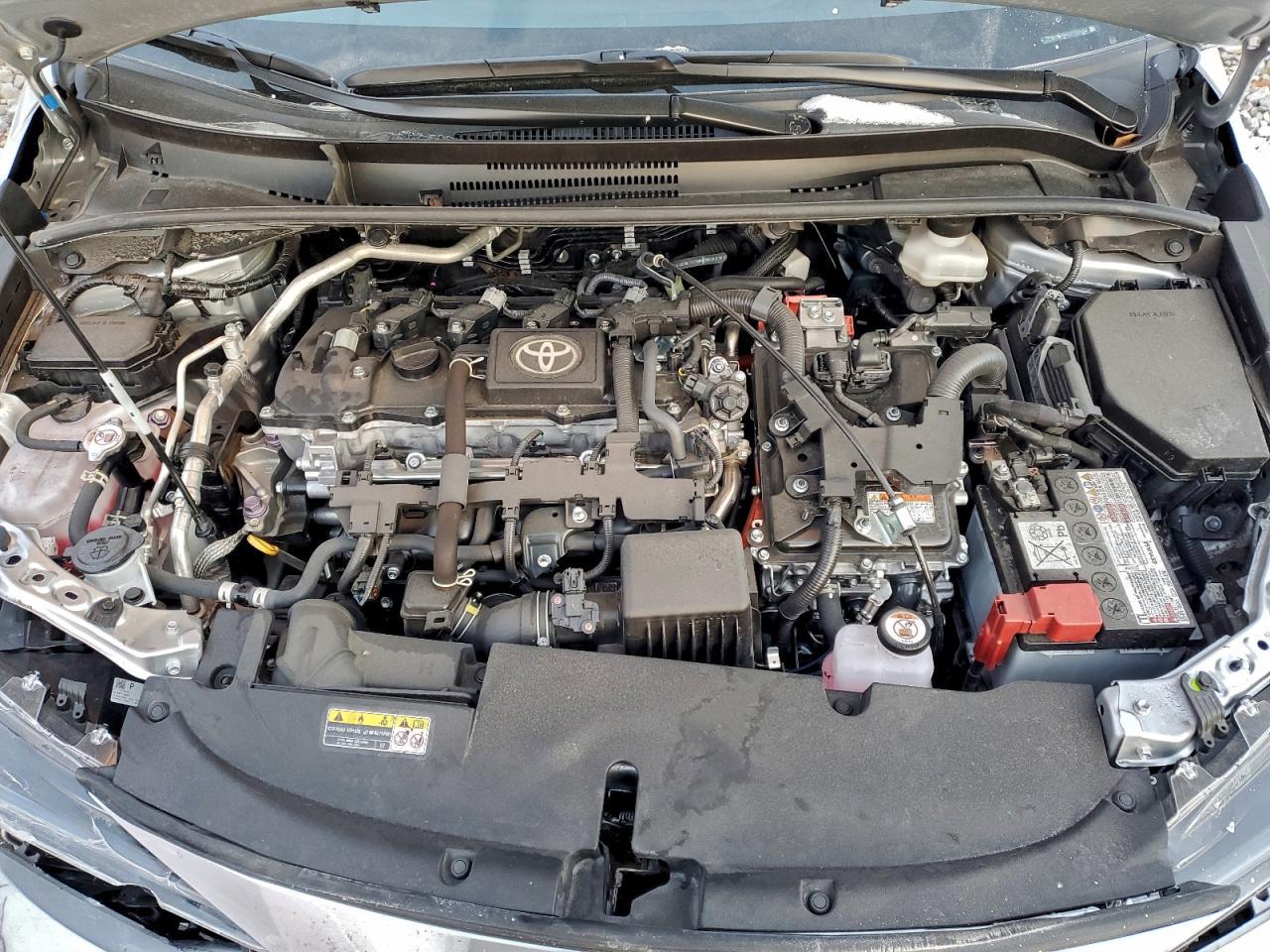 2025 TOYOTA COROLLA
