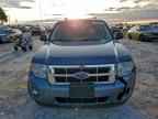 2010 FORD ESCAPE