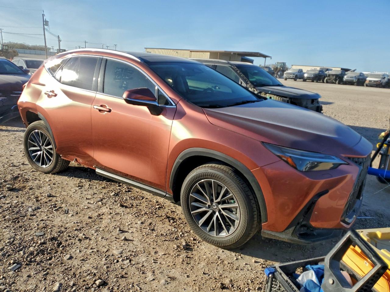 2025 LEXUS NX 350