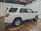2024 TOYOTA 4Runner