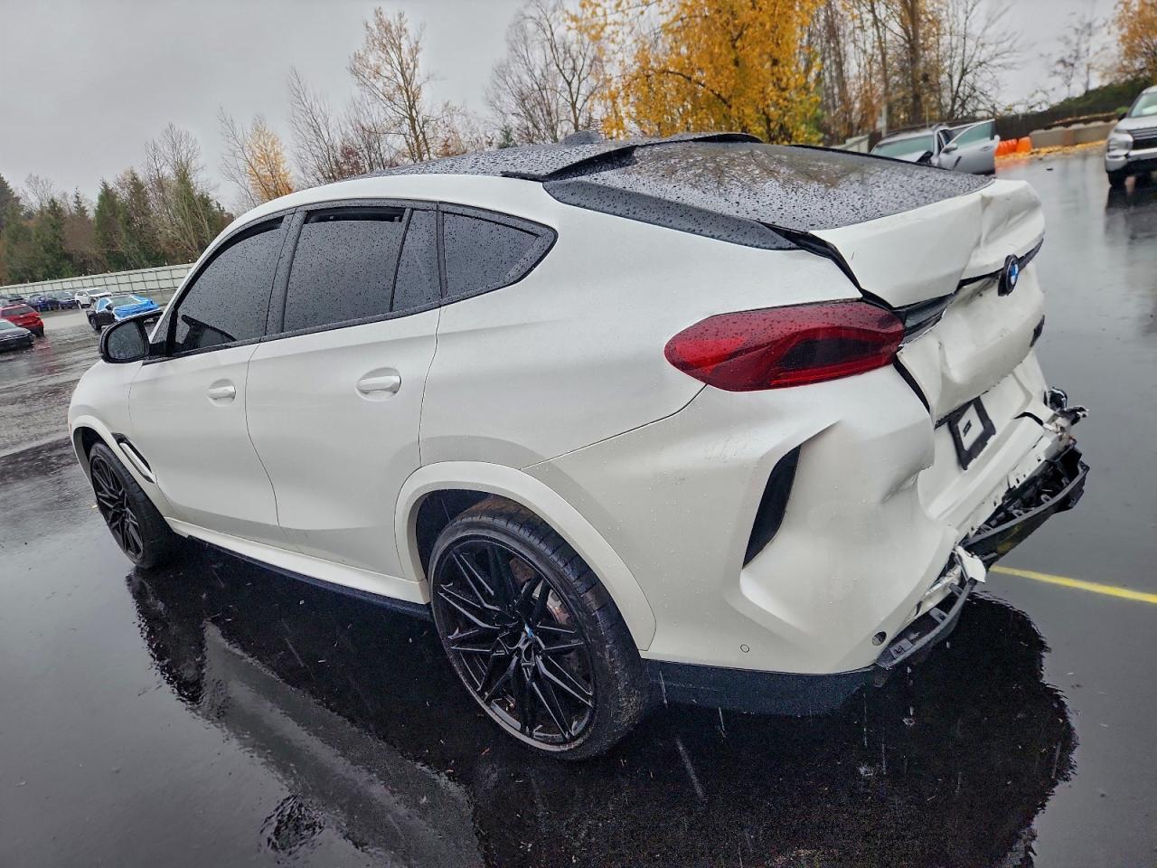 2024 BMW X6
