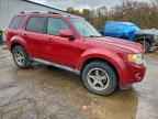 2010 FORD ESCAPE
