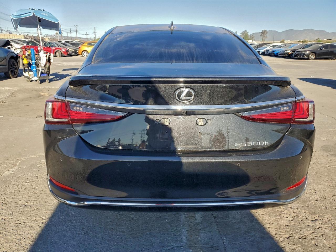 2024 LEXUS ES 300H