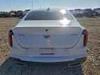2024 CADILLAC CT4