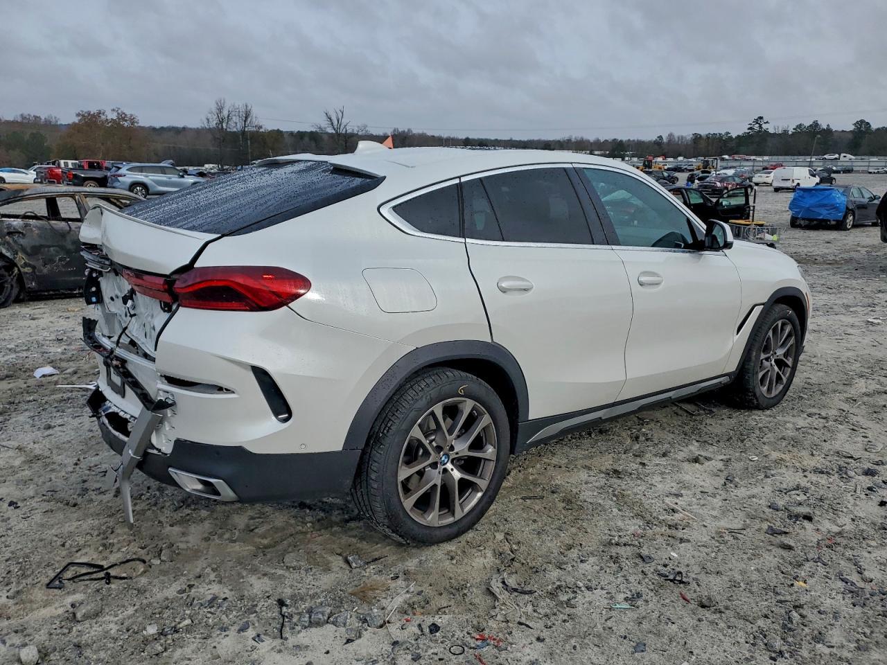 2023 BMW X6