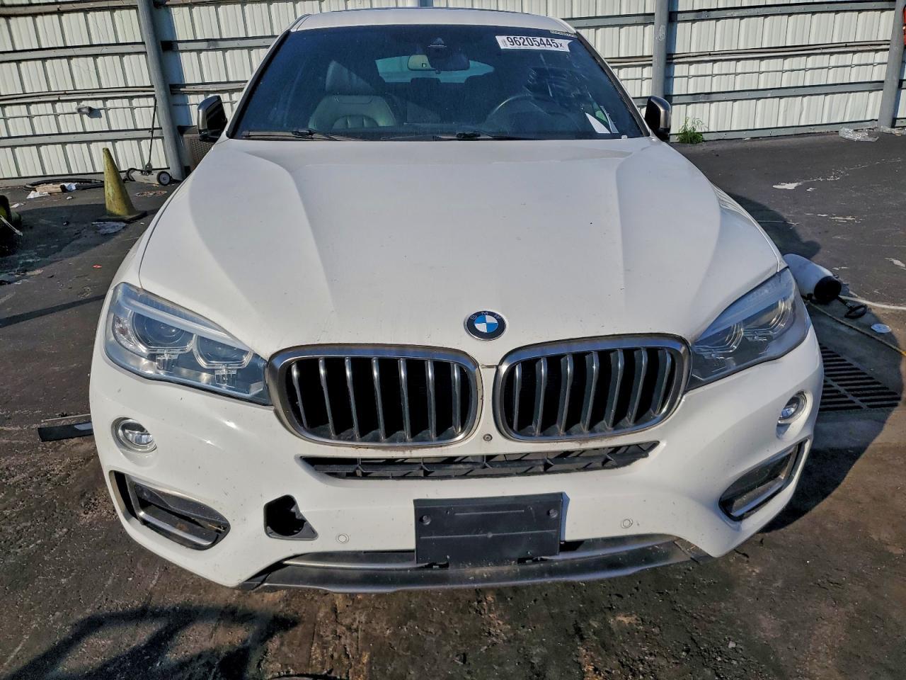 2019 BMW X6