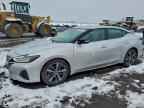 2019 NISSAN Maxima