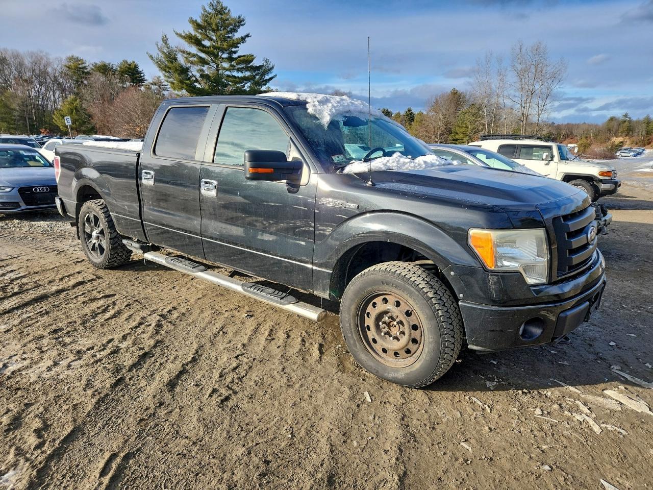 2010 FORD F-150