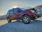 2007 HONDA PILOT