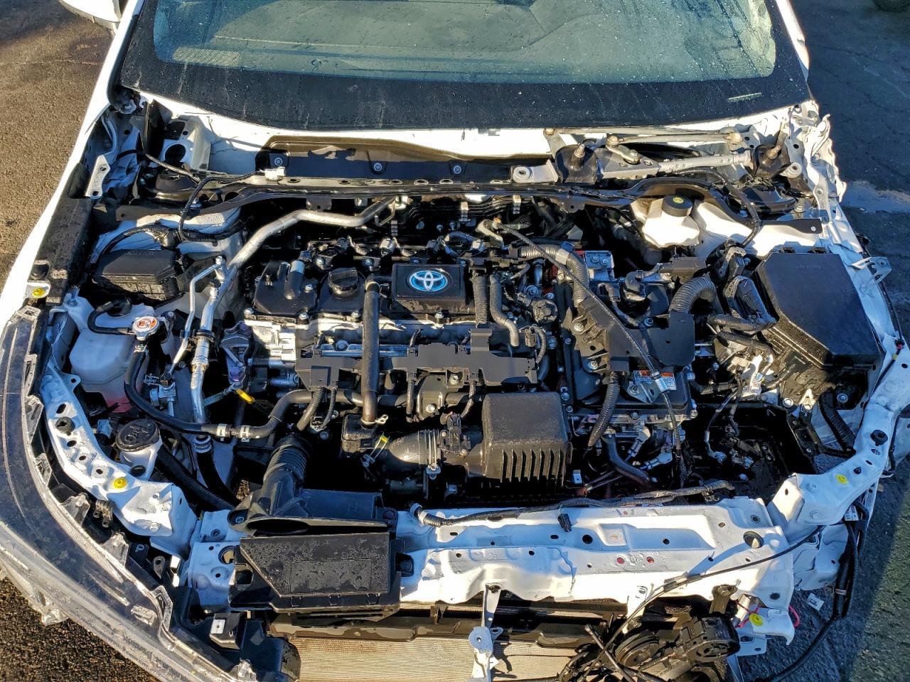 2023 TOYOTA COROLLA