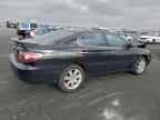 2002 LEXUS Es 300