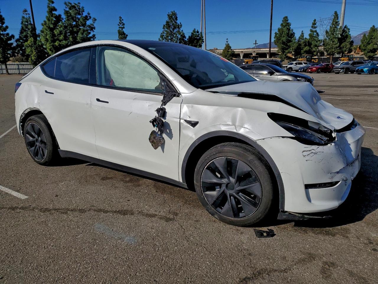 2025 TESLA MODEL Y