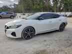 2023 NISSAN Maxima