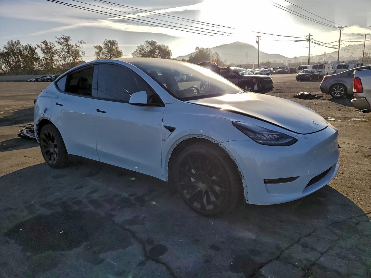 2021 TESLA MODEL Y