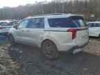 2026 KIA Carnival