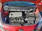 2017 KIA RIO