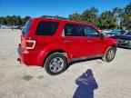 2009 FORD ESCAPE