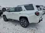 2025 TOYOTA 4Runner