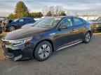 2017 KIA Optima Hybrid