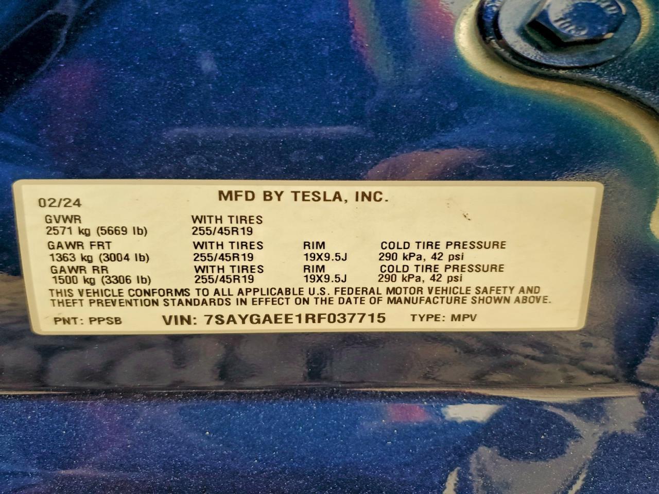 2024 TESLA MODEL Y