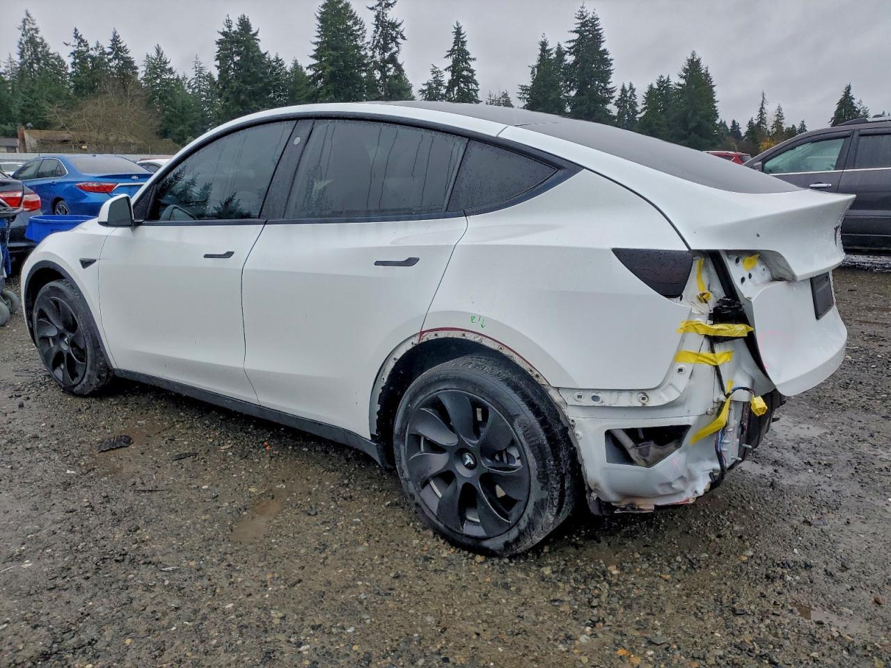 2021 TESLA MODEL Y
