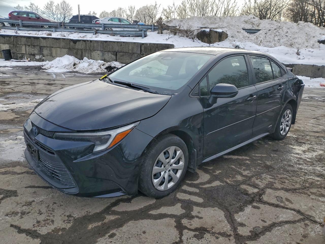 2023 TOYOTA COROLLA