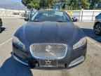 2015 JAGUAR XF