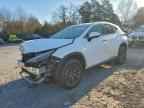 2026 LEXUS NX 350