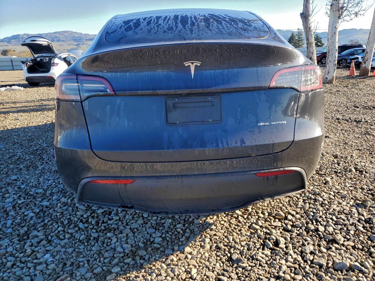 2024 TESLA MODEL Y