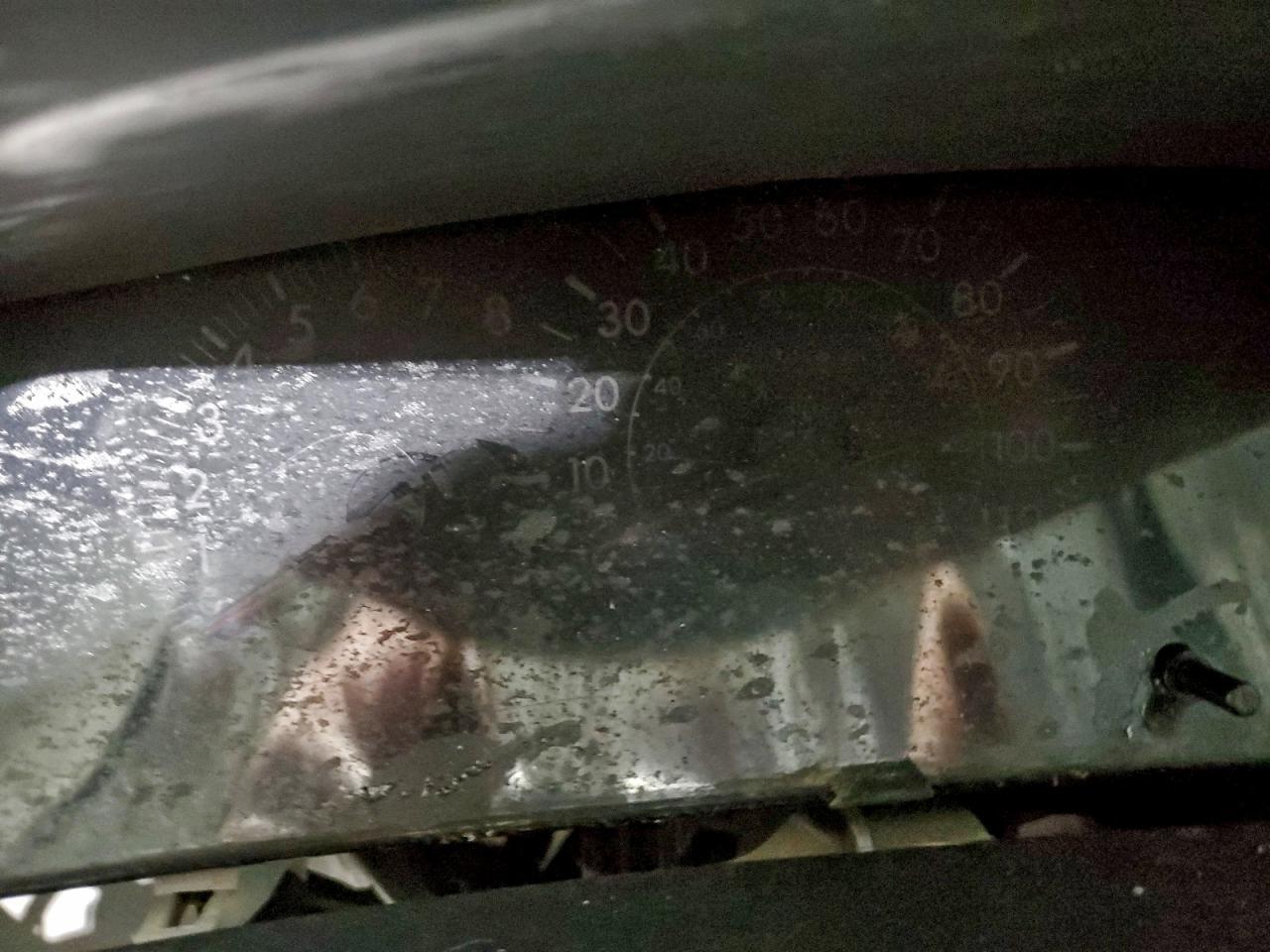 2006 TOYOTA COROLLA
