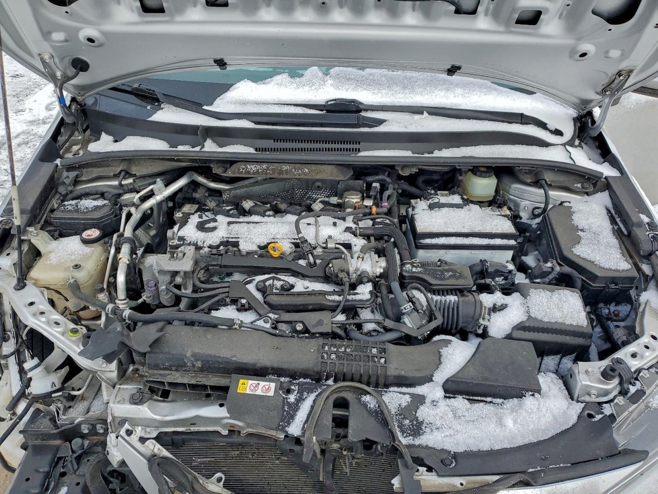 2019 TOYOTA COROLLA