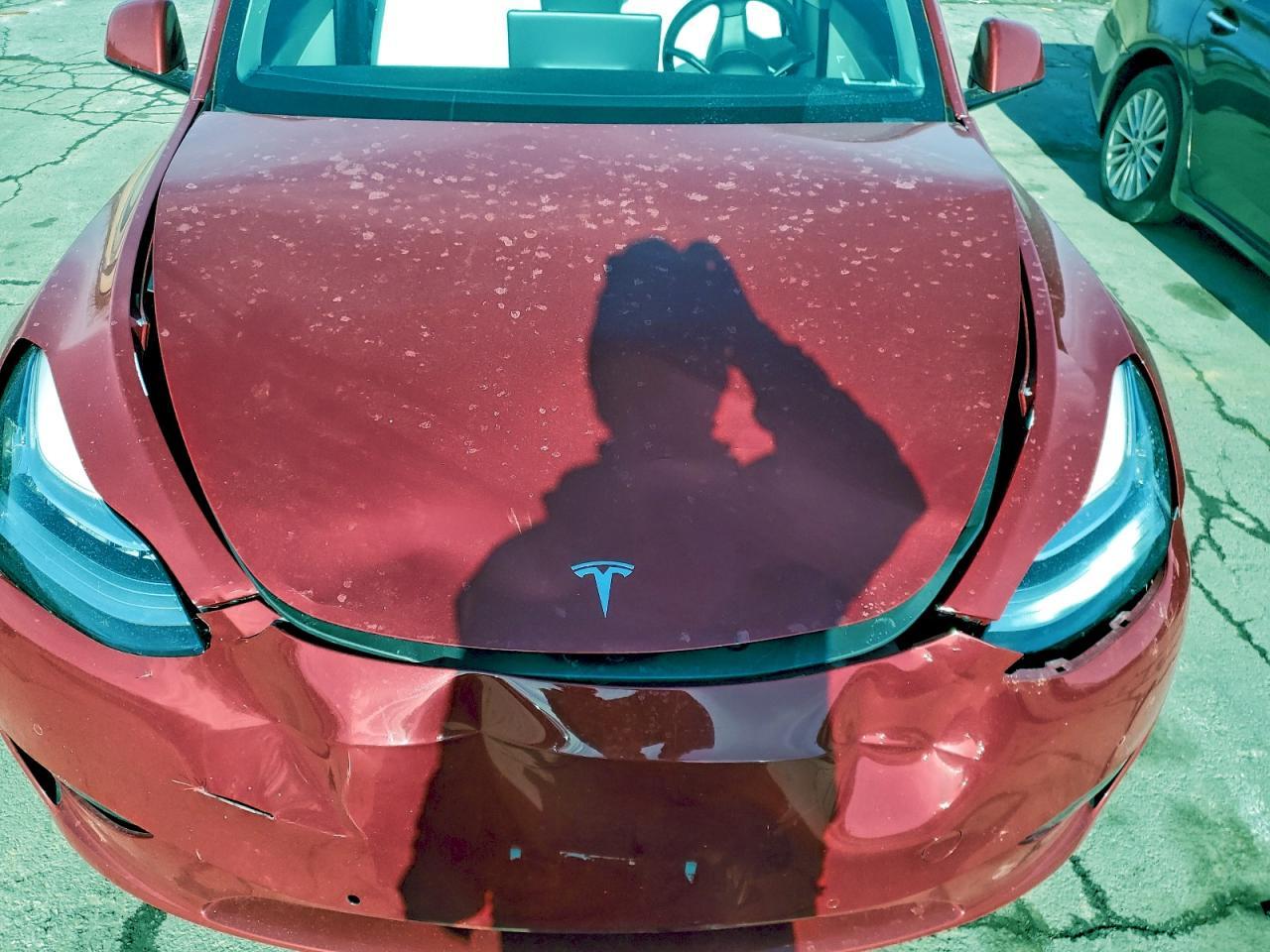 2021 TESLA MODEL Y